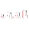 CORDA Multifunctional ladder for stairs 3x9 rungs