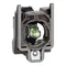 Corpo pulsante Harmony XB4 con elemento lampeggiante LED bianco 110/120V