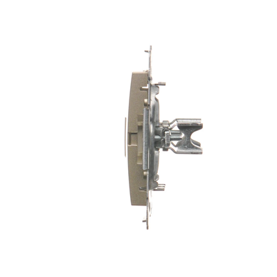 Cover for data communication sockets on Keystone, flat, double (module), gold (metallic)