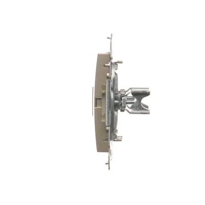 Cover for data communication sockets on Keystone, flat, double (module), gold (metallic)