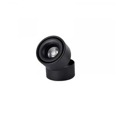 Creston Adjustable ceiling lamp black