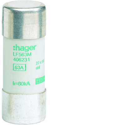Cylindrical fuse 22x58 aM 63A