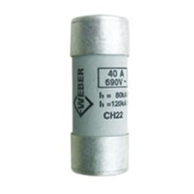 Cylindrical fuse 22x58 gG 20A