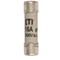 Cylindrical fuse link CH 10x38 gG 16A 500 - delayed