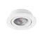 DALLA DTO-W Spotlight Ring
