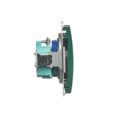 DATA plug socket (module), 230V, green
