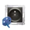 DATA socket with authorization key (module) 16A 250V screw terminals anthracite (metallic)
