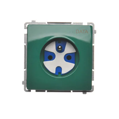 DATA-Steckdose (Modul), 230V, grün