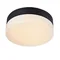 DEMAN IP44 Ceiling lamp black/white