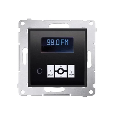 Digitalradio mit Display (Modul) Anthrazit (Metallic)