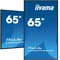 DigitalSignage iiyama LH6560UHS-B2AG schermo 65" ELED VA 4K, 500cd/m2, Android11, iisignage2, 24/7, 3xHDMI