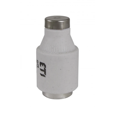 DIII gF 50A 500 (BiWts) fuse-link - fast