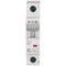 Disjoncteur HN-C25/1 25A 1P 6kA C 230V IP20 type AC