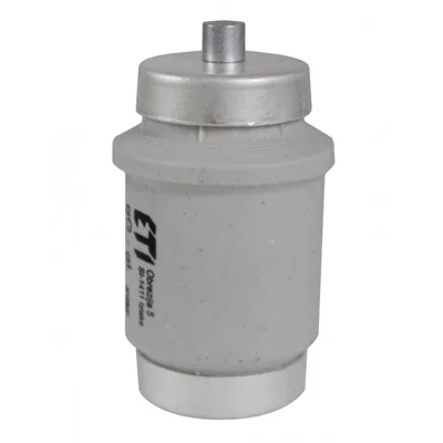 DIV/gG100A 500 slow-blow fuse-link