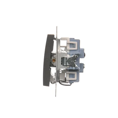 Doppel-Treppenschalter mit Hintergrundbeleuchtung (Modul) 10A 250V Schraubklemmen Anthrazit (Metallic)