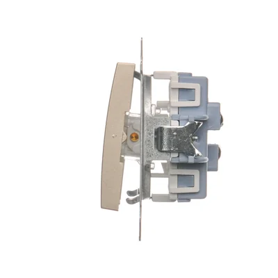 Doppel-Treppenschalter (Modul) 10A 250V Schraubklemmen Gold (Metallic)