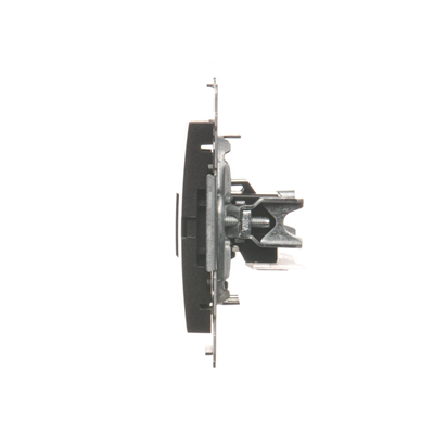 Doppelte RJ12-Telefondose (Modul) Anthrazit (Metallic)