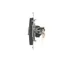 Doppia presa per computer RJ45 categoria 6 con copertura antipolvere (modulo) antracite (metallizzato)