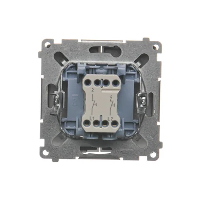 Double-circuit push-button: 2 inputs, 2 outputs (module) 230V, metallic inox