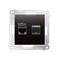 Double computer socket RJ45, category 6, shielded with anti-dust cover (module) anthracite (metallic)