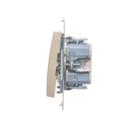 Double cross switch with backlight (module) 250 V, gold metallic