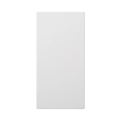 Double end cap S500 100x50mm, pure white