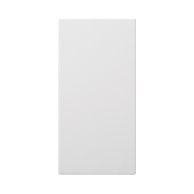 Double end cap S500 100x50mm, pure white