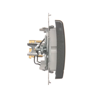 Double hotel switch -2Z with backlight. Rated current 10A (module) anthracite (metallic)