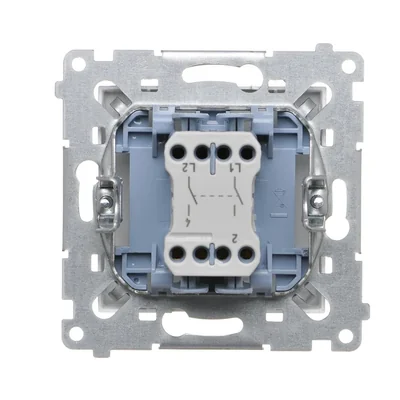 Double-pole connector (module) 10A, 250V, quick connectors, silver (metallic)