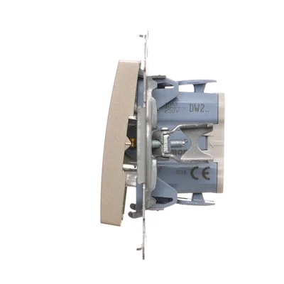 Double-pole switch (module) 10A, 250V, quick connectors, gold (metallic)
