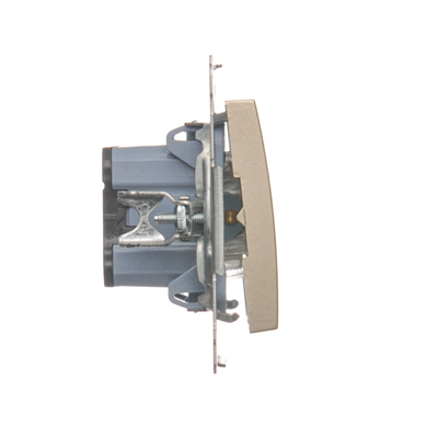 Double-pole switch (module) 16A, 250V, screw terminals, gold (metallic)