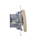 Double-pole switch (module) 16A, 250V, screw terminals, gold (metallic)