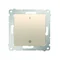 Double-pole switch (module) 16A, 250V, screw terminals, gold (metallic)