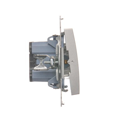 Double-pole switch (module) 16A, 250V, screw terminals, silver (metallic)