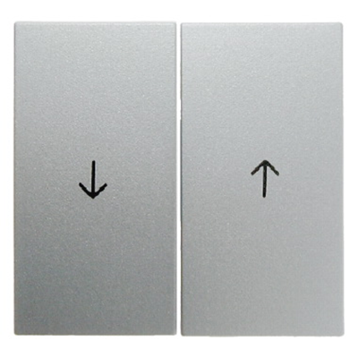 Double rocker with the "arrow" symbol imprinted, matt lacquered aluminium