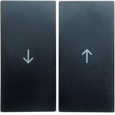 Double rocker with the imprint of the "arrow" symbol, anthracite