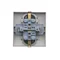 Double Schuko socket with shutters 16A, 250V, screw terminals, gold (metallic)