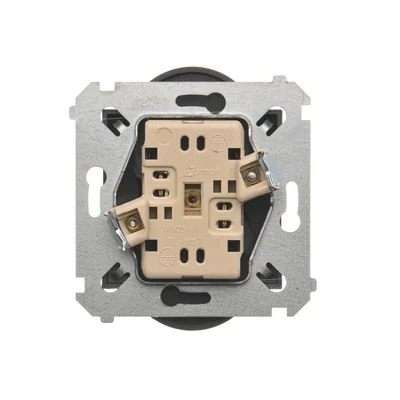 Double socket outlet for nature frames 230V, metallic anthracite