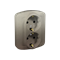 Double socket-outlet with earthing Schuko type with shutters for current paths 16A 230V satin (metallic)