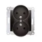 Double socket-outlet with earthing with shutters (module) 16A 250V anthracite (metallic)