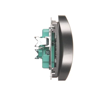 Double socket-outlet with grounding (module) 16A 230V inox (metallic)