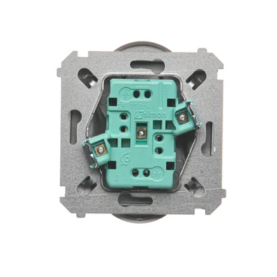 Double socket-outlet with grounding (module) 16A 230V inox (metallic)