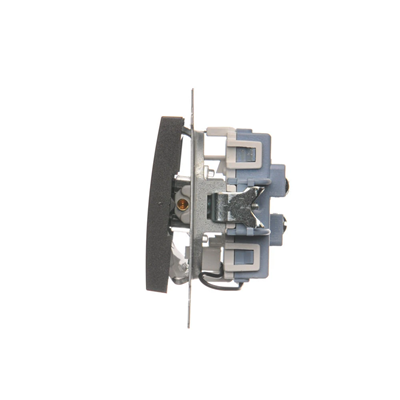 Double stair switch with backlight (module) 10A 250V screw terminals anthracite (metallic)
