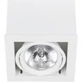 Downlight White ceiling lamp