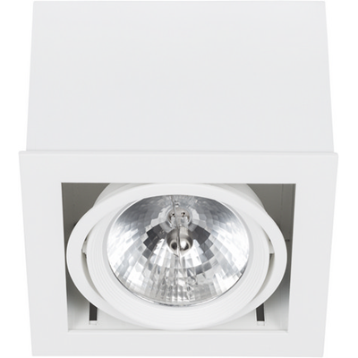 Downlight White ceiling lamp