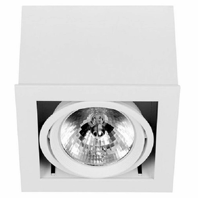 Downlight White ceiling lamp