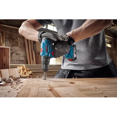 Drill-driver GSB 183-LI (2x2.0Ah, GAL 18V-20, case)