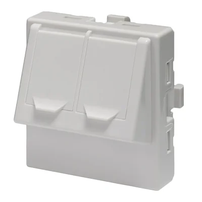 Dual-module, angled adapter 2xRJ45