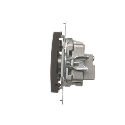 Durchgangs-Antennendose R-TV-SAT (Modul) bronze-metallic matt