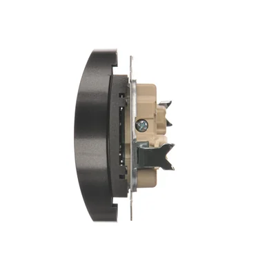 Dvojitá zásuvka s uzemněním pro přírodní rámy 230V, metalická antracit